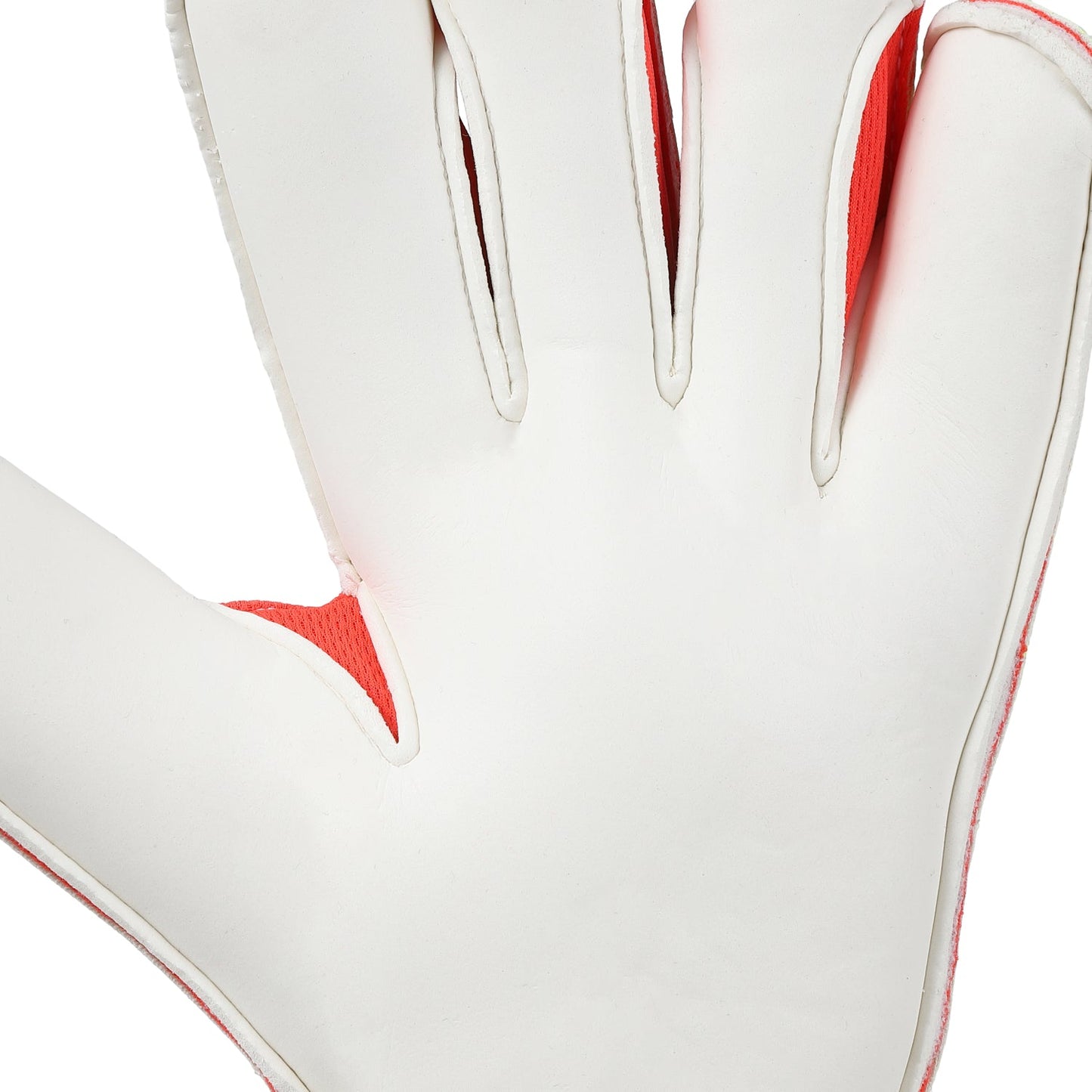 ELITE GLADIATOR'22 | GK GLOVES