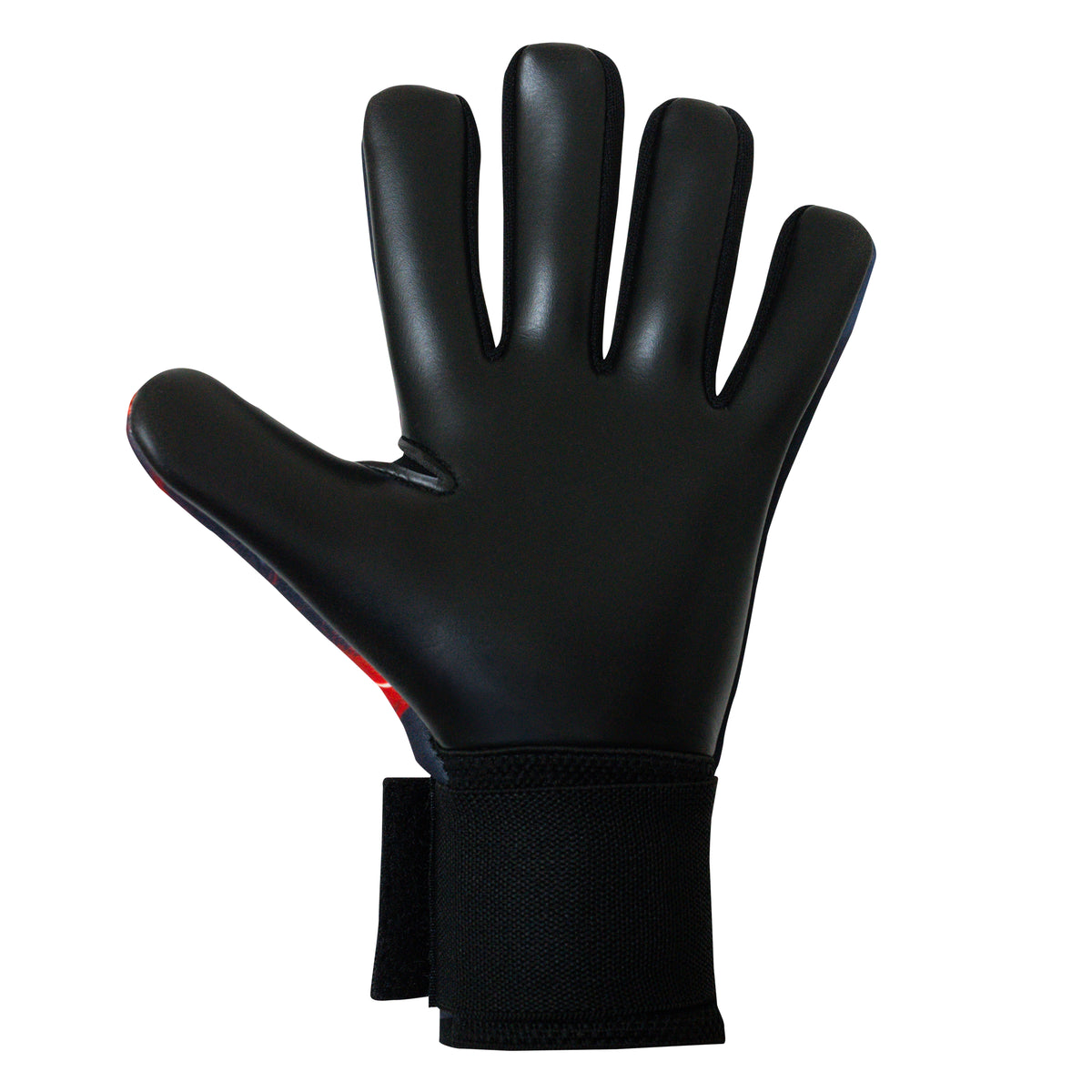 LASER｜Elite Sport